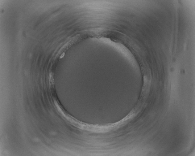 X0000054170048200508101811.png