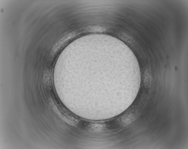 X0000054580352200508300106.png
