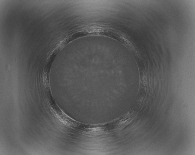 X0000055210411200508301327.png