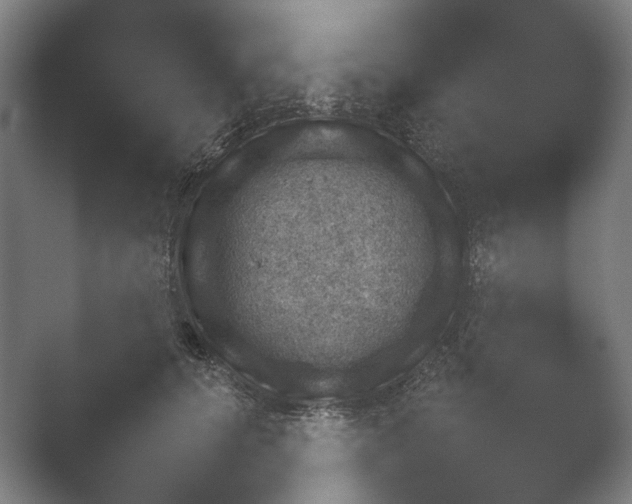 X0000052280656200507132030.png