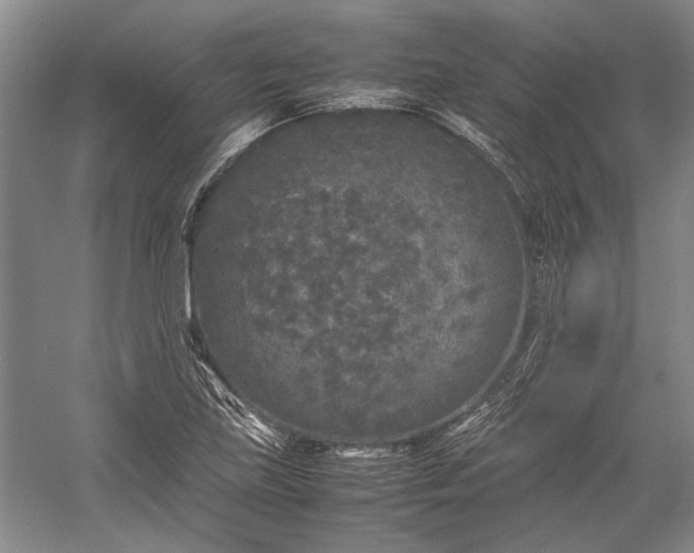 X0000055061219200508161637.png