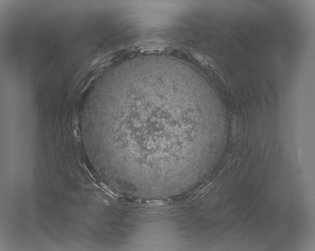 X0000055211445200508301309.png