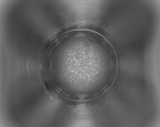 X0000052150740200507051951.png