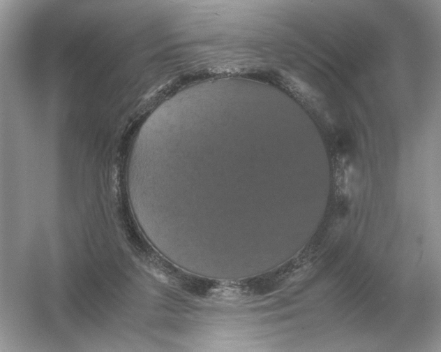X0000054350211200508190137.png