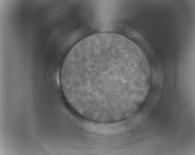 X0000053460028200508112209.png