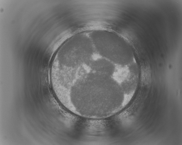 X0000054581274200508300051.png