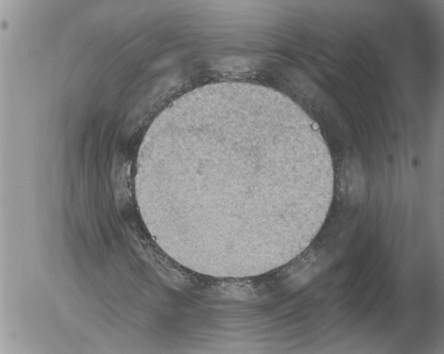 X0000054581346200508300050.png