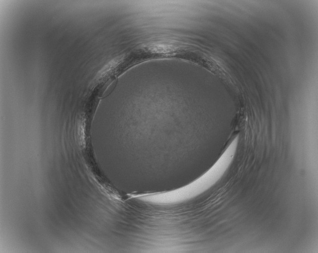 X0000054350404200508190133.png