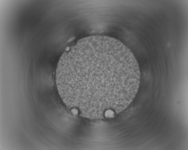 X0000053461250200508112148.png