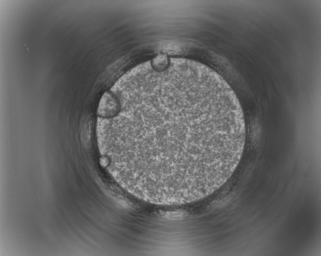 X0000053460645200508112158.png