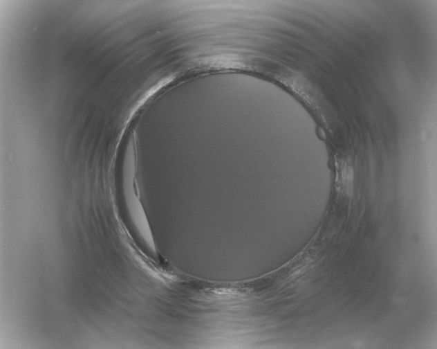 X0000054350390200508190134.png