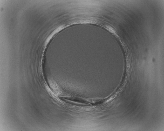 X0000054171181200508101752.png