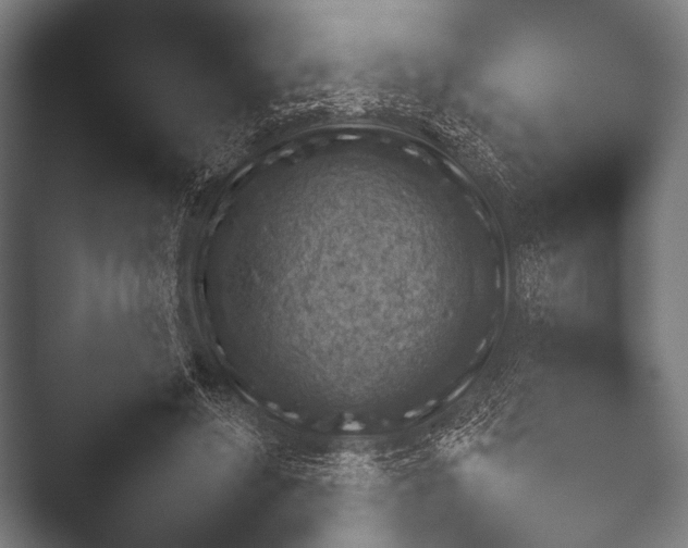 X0000052020496200507181630.png