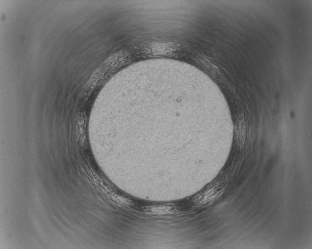 X0000054580462200508300105.png