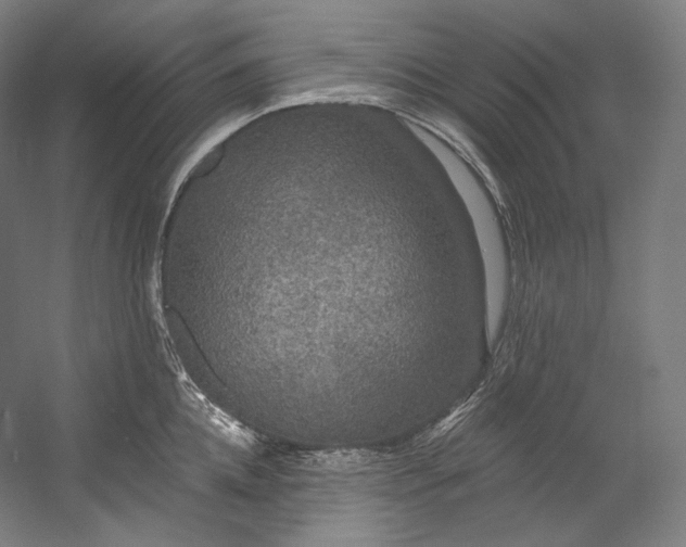 X0000055210952200508301318.png