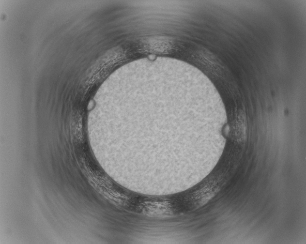 X0000054580552200508300103.png