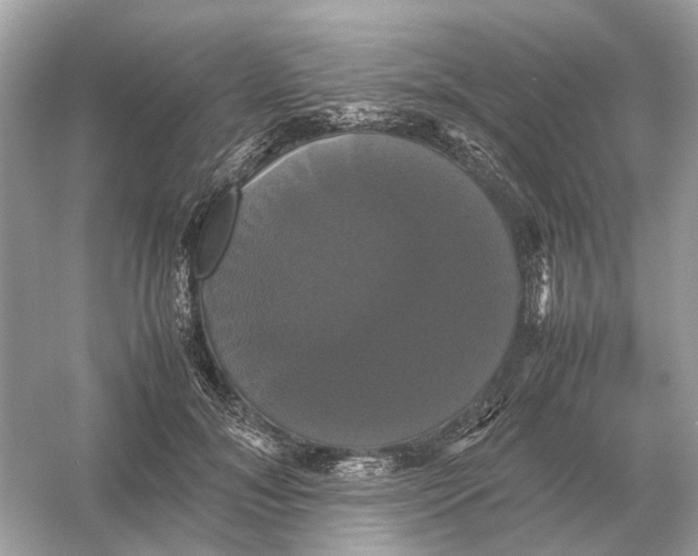 X0000054350700200508190128.png
