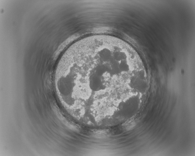X0000054580155200508300109.png
