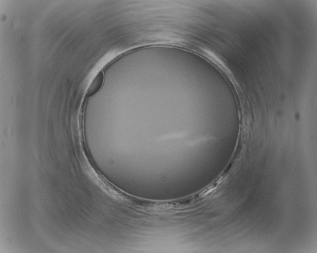 X0000054171291200508101750.png