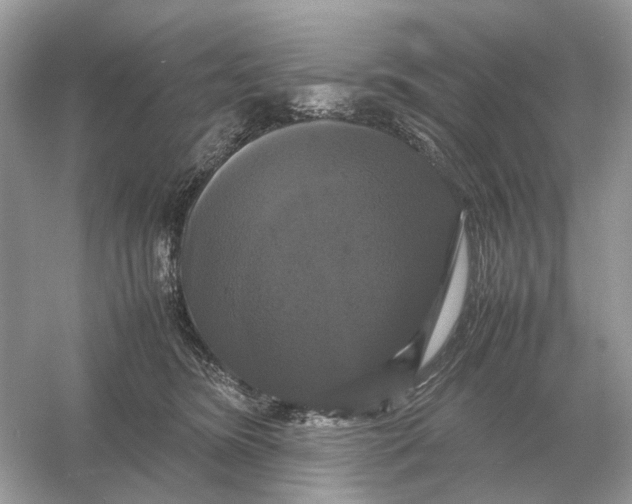 X0000054350420200508190133.png