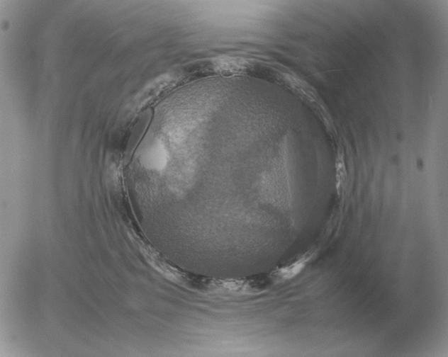 X0000054170329200508101806.png