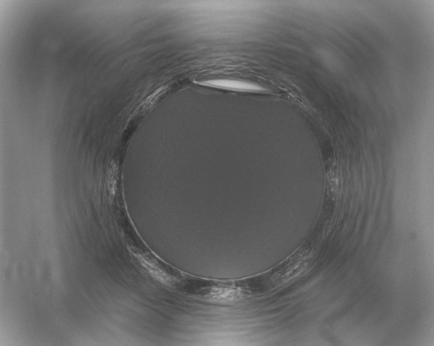 X0000054350458200508190132.png