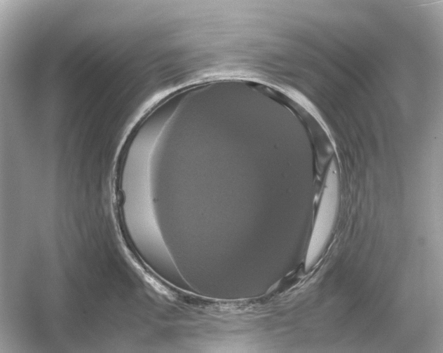 X0000054351005200508190123.png