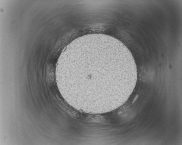 X0000054581298200508300050.png
