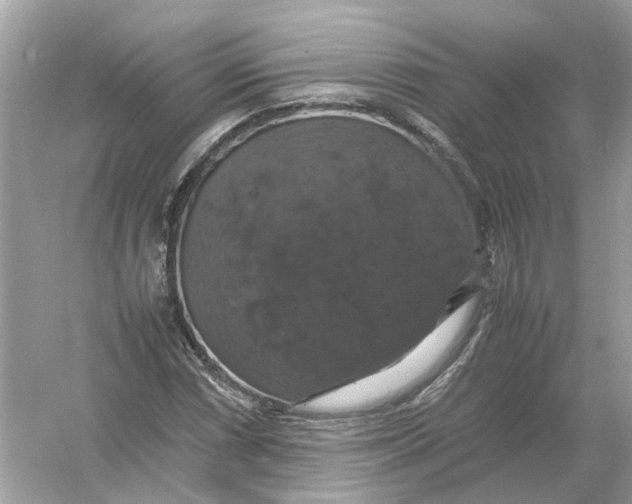 X0000054351066200508190122.png