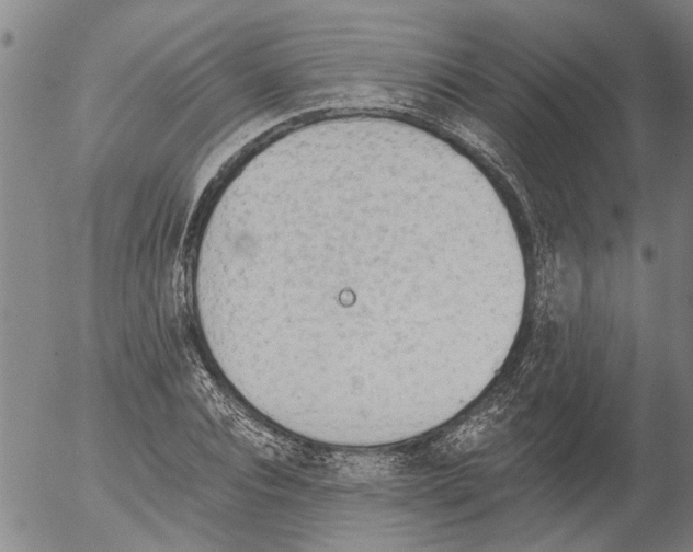 X0000054580928200508300057.png