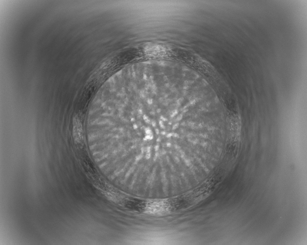 X0000054350705200508190128.png