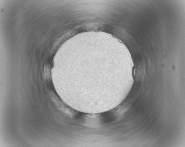 X0000054230335200508171518.png
