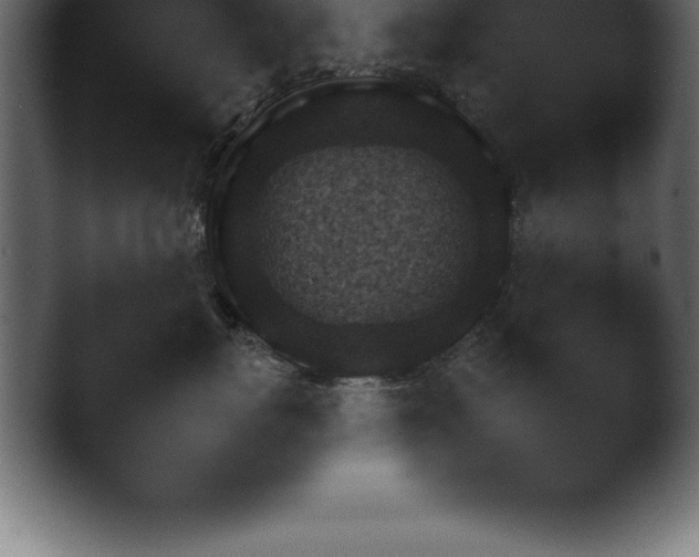 X0000045480767200501191057.png