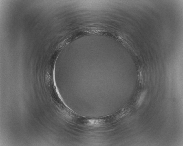 X0000054350371200508190134.png