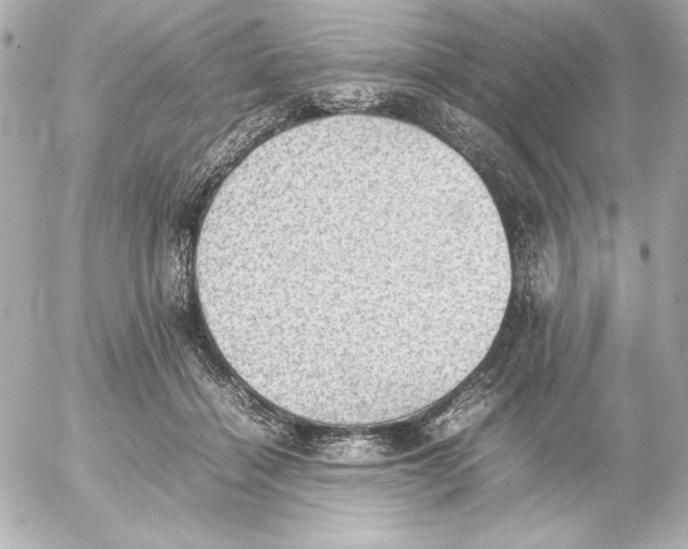 X0000054230460200508171516.png