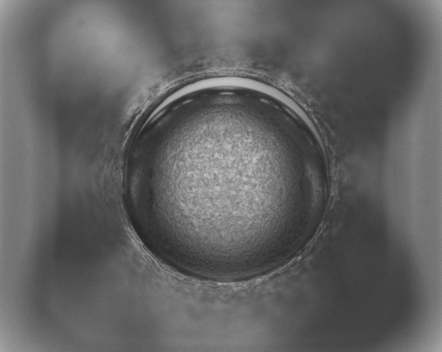 X0000038920002200409291018.png