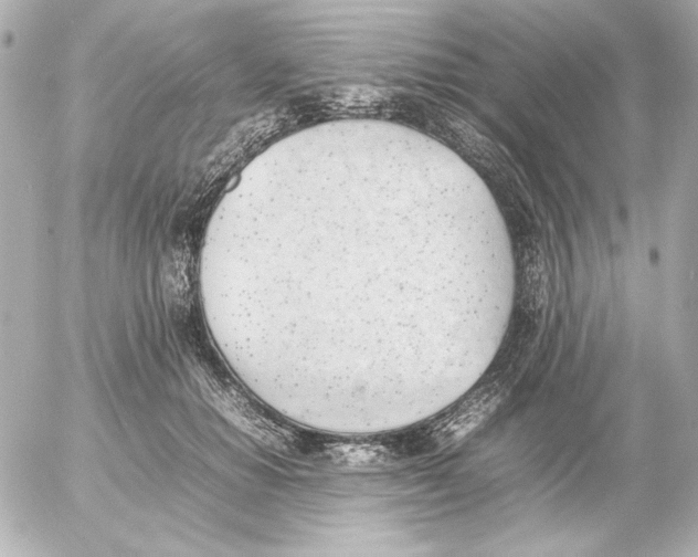 X0000054230654200508171513.png