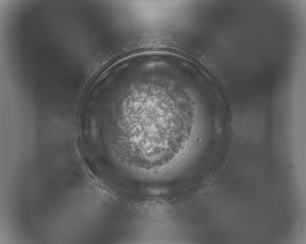 X0000052280386200507132034.png