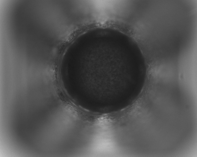 X0000054730754200508171851.png