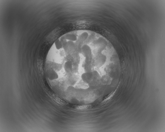 X0000055250178200509071625.png