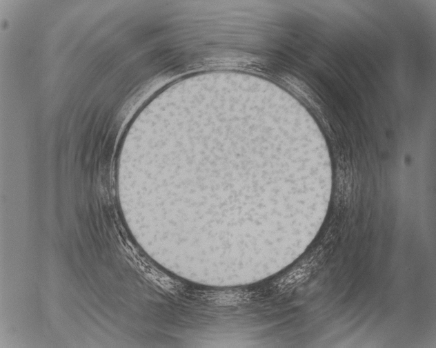 X0000054580948200508300057.png
