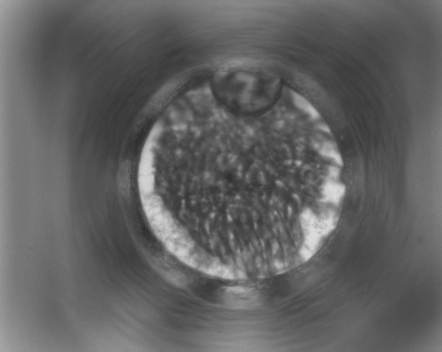 X0000053460167200508112206.png