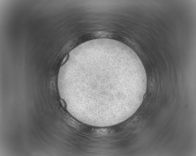 X0000054270473200508261921.png