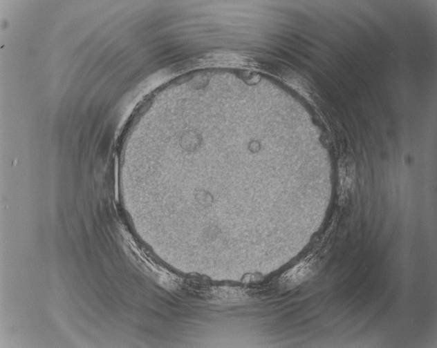 X0000054581123200508300053.png