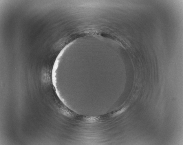 X0000054350432200508190133.png