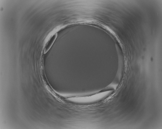 X0000054171373200508101749.png