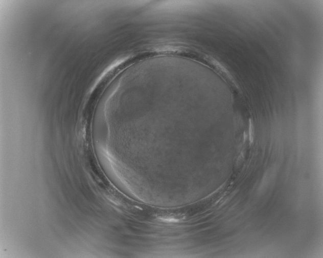 X0000054350723200508190127.png