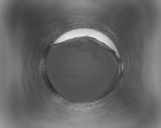 X0000054350029200508190140.png