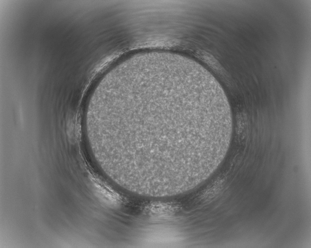 X0000055060632200508161646.png