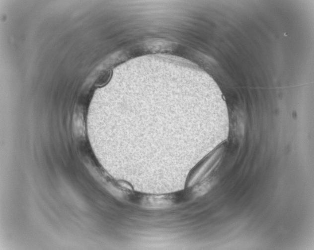 X0000054230622200508171514.png